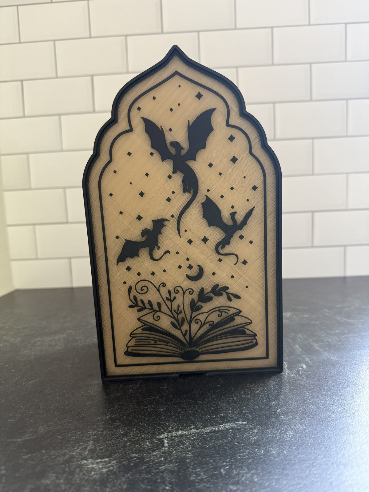 Dragon/Fourth Wing Inspired Light Up Book Nook