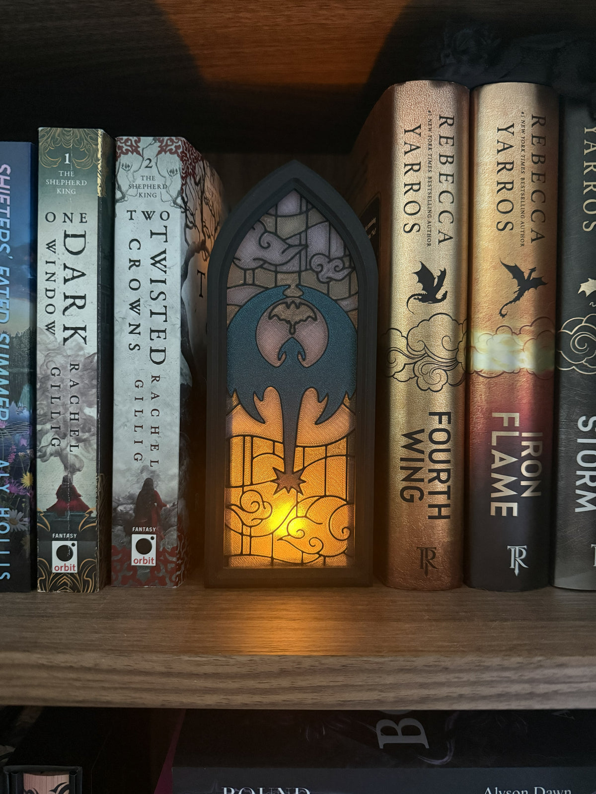 Fourth Wing Inspired Book Night with Storage and Tealight
